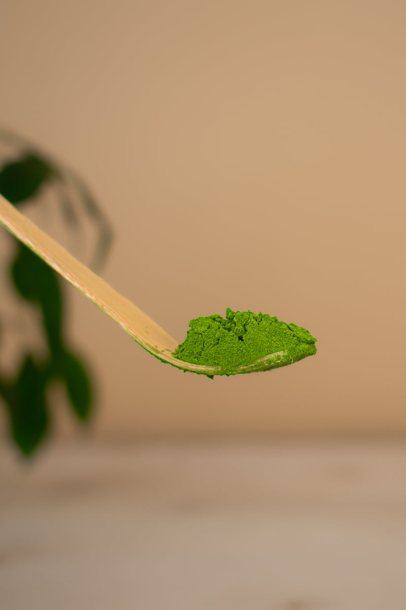 Matcha Made Simple, Taste Made Perfect