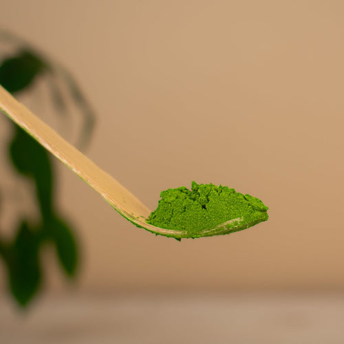 Matcha Spoon